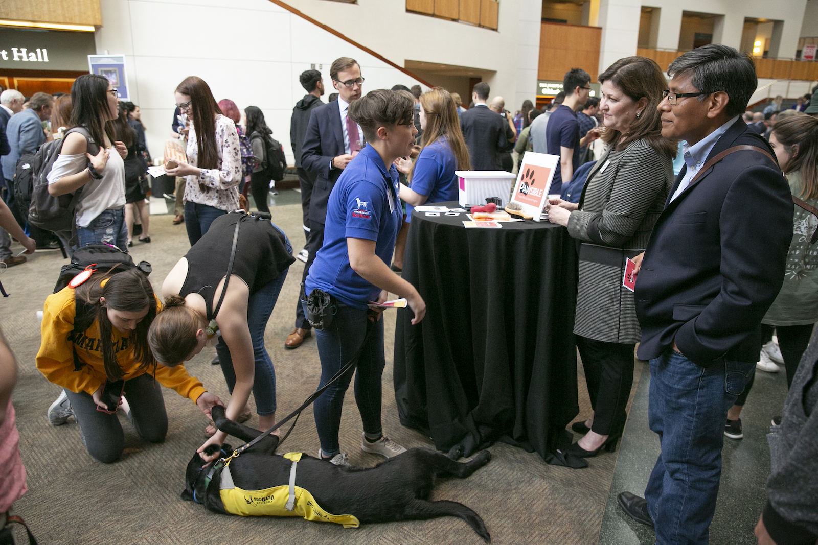 dog being pet at Do Good event