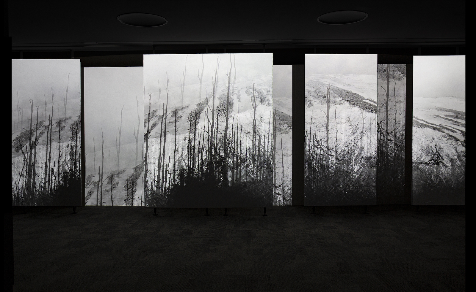 image of Strata exhibition