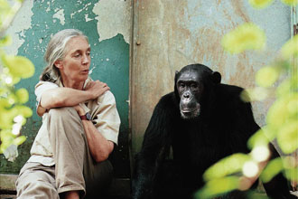 Making a Difference: Dr. Jane Goodall, DBE