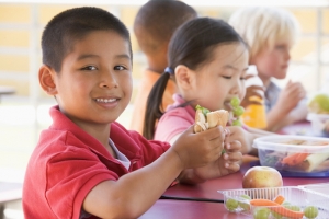 Preventing Childhood Obesity Through School-Based “Wellness Champions”