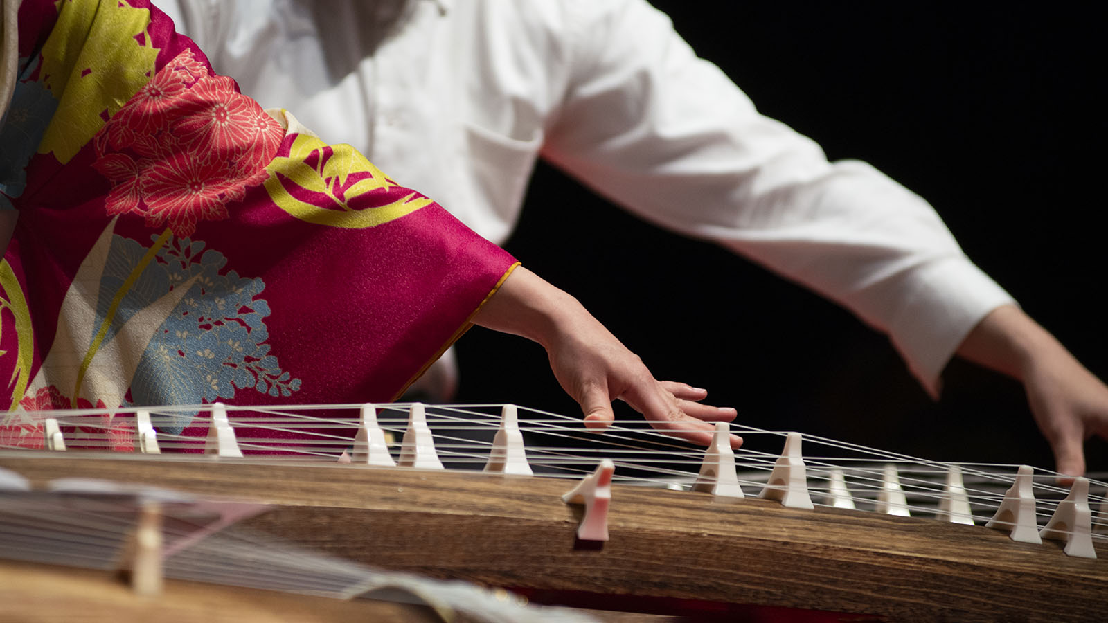 Performers with Japanese koto instruments.