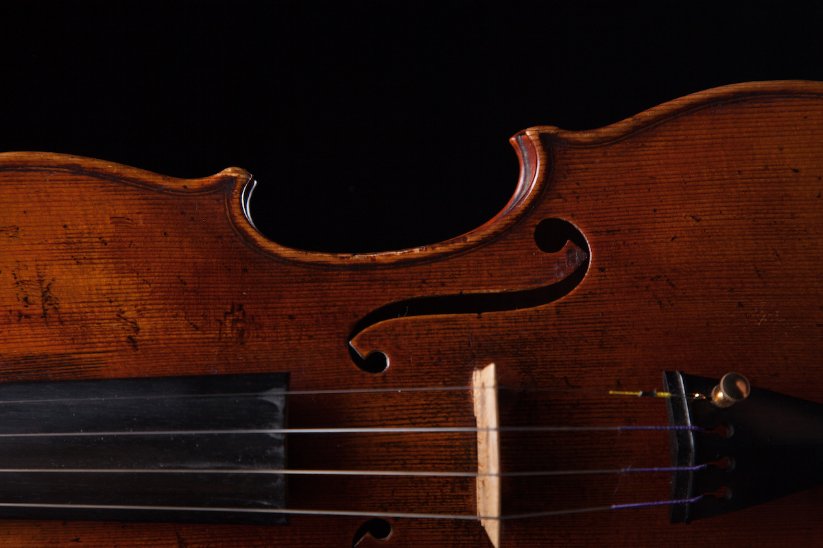 Violin stock photo.