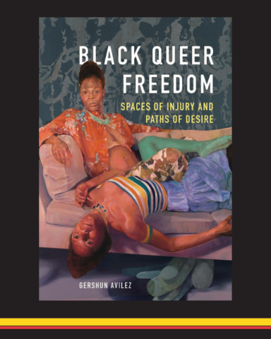 Book cover of "Black Queer Freedom: Spaces of Injury and Paths of Desire" by GerShun Avilez
