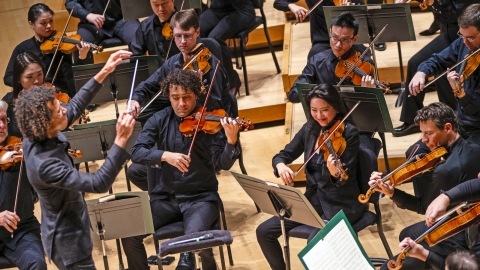 An orchestra of violinists performs on stage, all wearing black, as the conductor gestures passionately in front of them with raised arms.